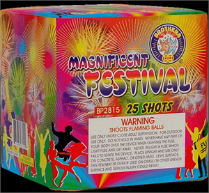 magnificent festival brothers